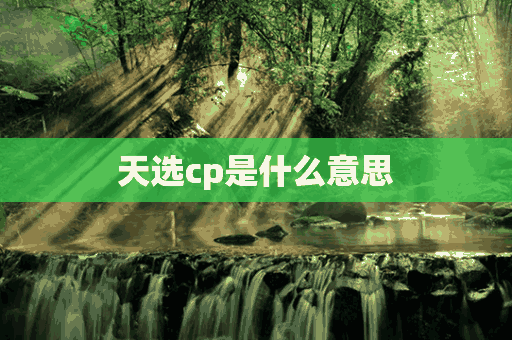 天选cp是什么意思